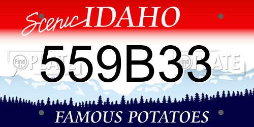 559B33 Idaho License Plate