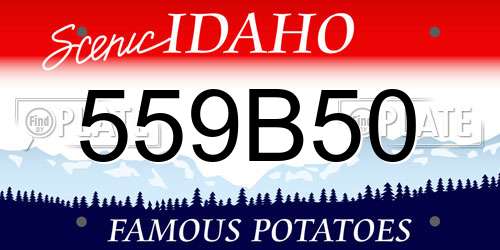 559B50 Idaho License Plate