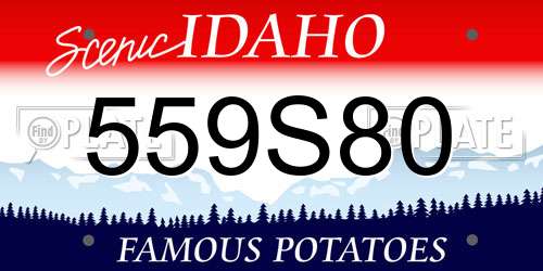 559S80 Idaho License Plate