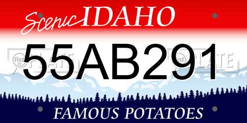 55AB291 Idaho License Plate