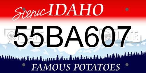 55BA607 Idaho License Plate