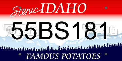 55BS181 Idaho License Plate