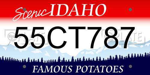 55CT787 Idaho License Plate