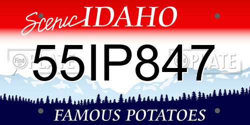 55IP847 Idaho License Plate