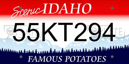 55KT294 Idaho License Plate