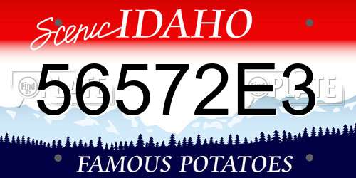 56572E3 Idaho License Plate