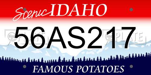 56AS217 Idaho License Plate