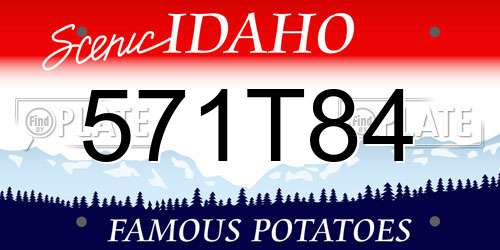 571T84 Idaho License Plate
