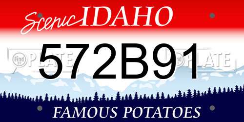 572B91 Idaho License Plate