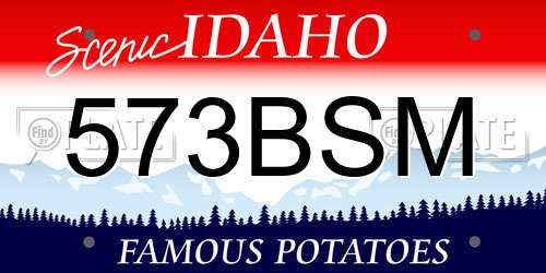 573BSM Idaho License Plate