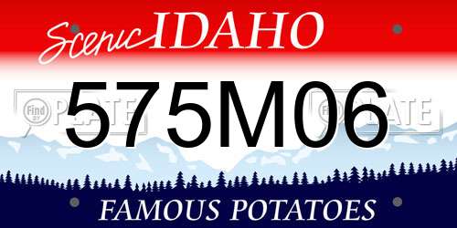 575M06 Idaho License Plate