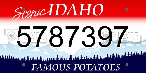 5787397 Idaho License Plate
