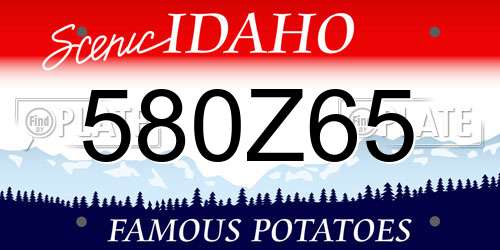 580Z65 Idaho License Plate