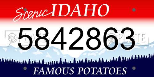 5842863 Idaho License Plate