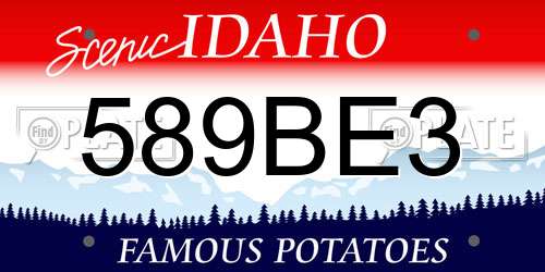 589BE3 Idaho License Plate