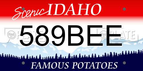 589BEE Idaho License Plate