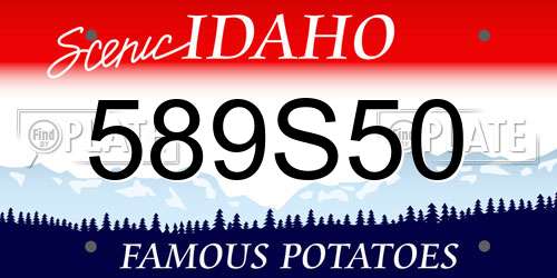 589S50 Idaho License Plate