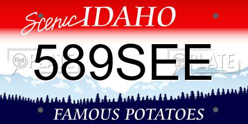 589SEE Idaho License Plate