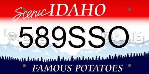 589SSO Idaho License Plate