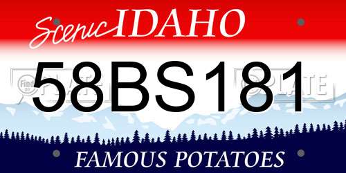 58BS181 Idaho License Plate
