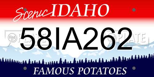 58IA262 Idaho License Plate