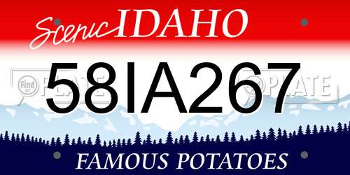 58IA267 Idaho License Plate
