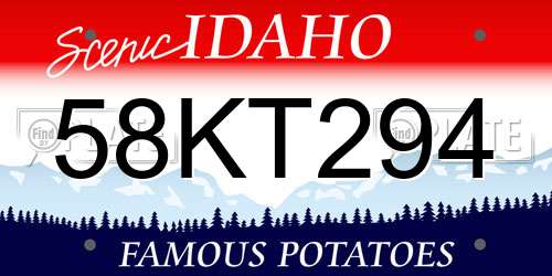 58KT294 Idaho License Plate
