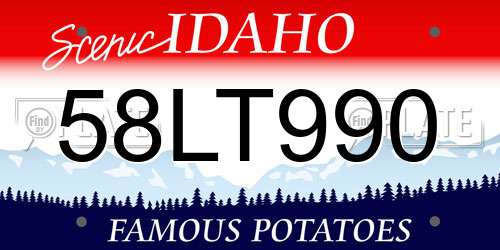 58LT990 Idaho License Plate
