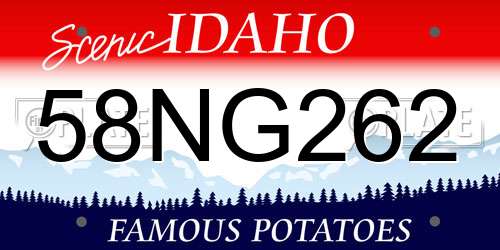 58NG262 Idaho License Plate