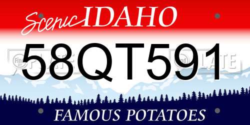 58QT591 Idaho License Plate