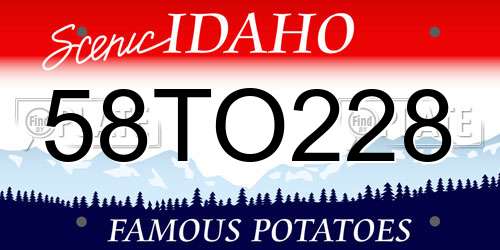 58TO228 Idaho License Plate