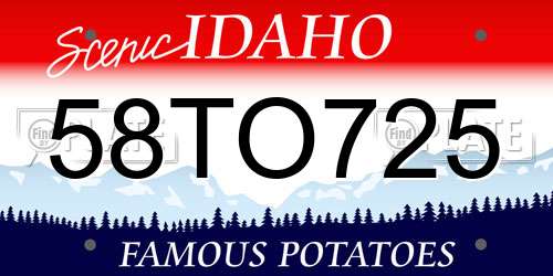 58TO725 Idaho License Plate