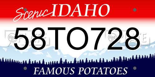 58TO728 Idaho License Plate
