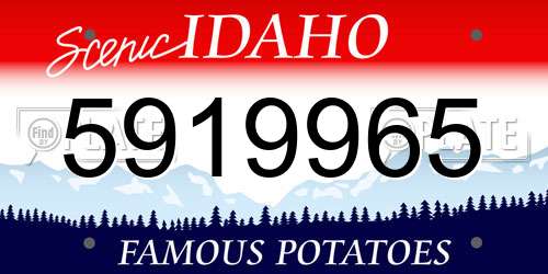 5919965 Idaho License Plate