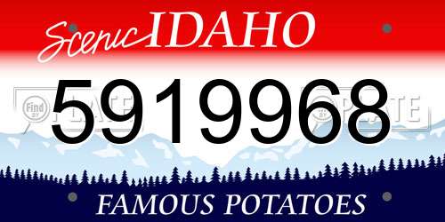 5919968 Idaho License Plate