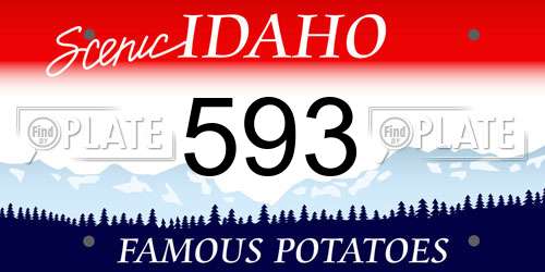 593 Idaho License Plate