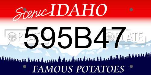 595B47 Idaho License Plate