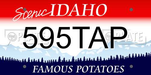 595TAP Idaho License Plate