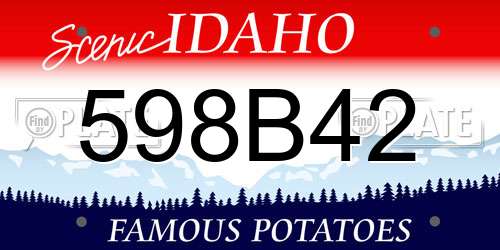 598B42 Idaho License Plate