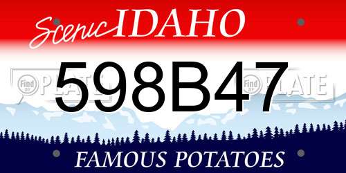 598B47 Idaho License Plate