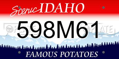 598M61 Idaho License Plate