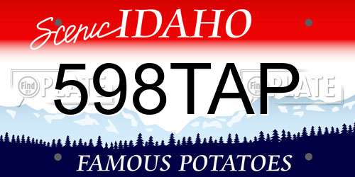 598TAP Idaho License Plate