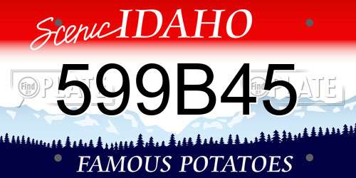 599B45 Idaho License Plate