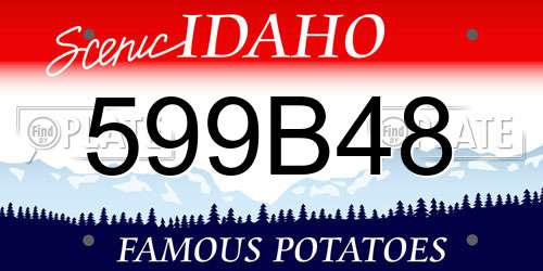 599B48 Idaho License Plate