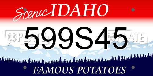 599S45 Idaho License Plate