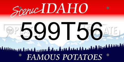 599T56 Idaho License Plate