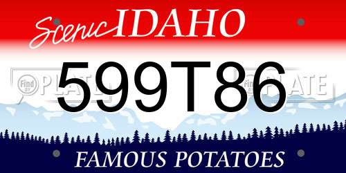599T86 Idaho License Plate