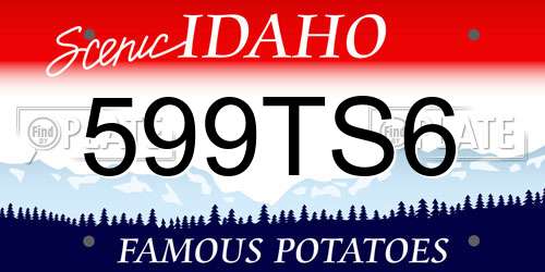 599TS6 Idaho License Plate