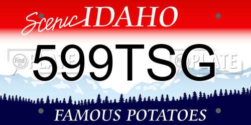 599TSG Idaho License Plate