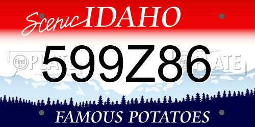 599Z86 Idaho License Plate